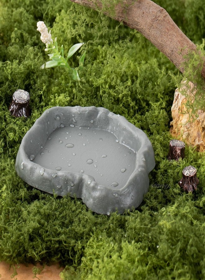 Addveyra Snail Food and Water Bowl Terrarium Feeding Dish for Tank Supplies - Image 4