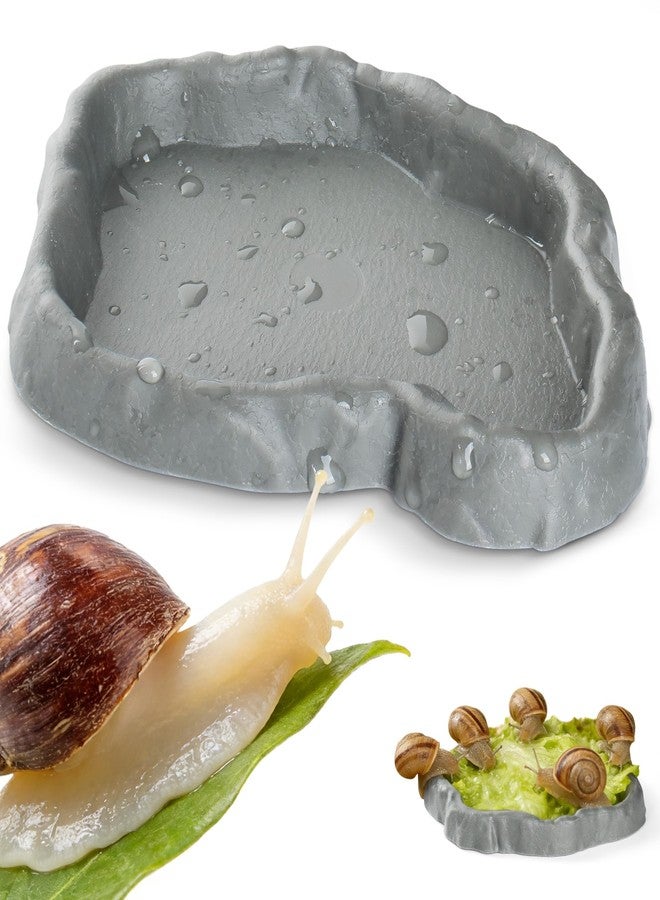 Addveyra Snail Food and Water Bowl Terrarium Feeding Dish for Tank Supplies - Image 1