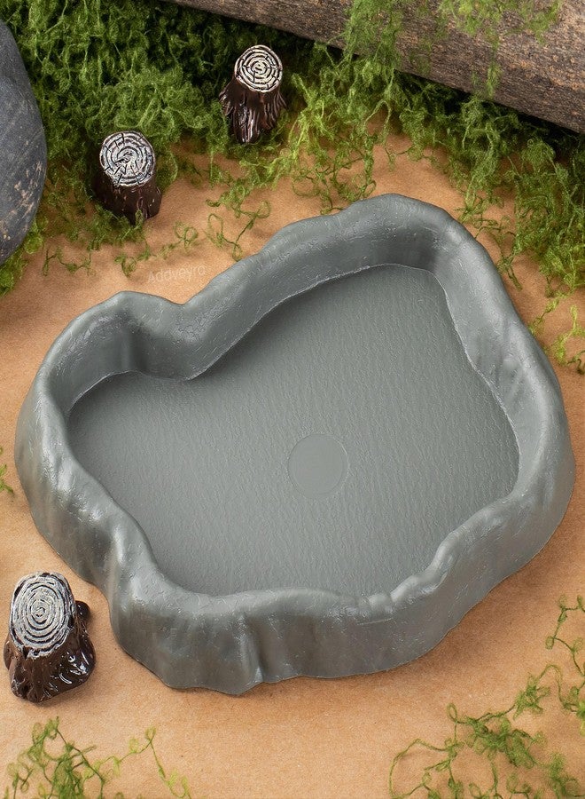 Addveyra Snail Food and Water Bowl Terrarium Feeding Dish for Tank Supplies - Image 5