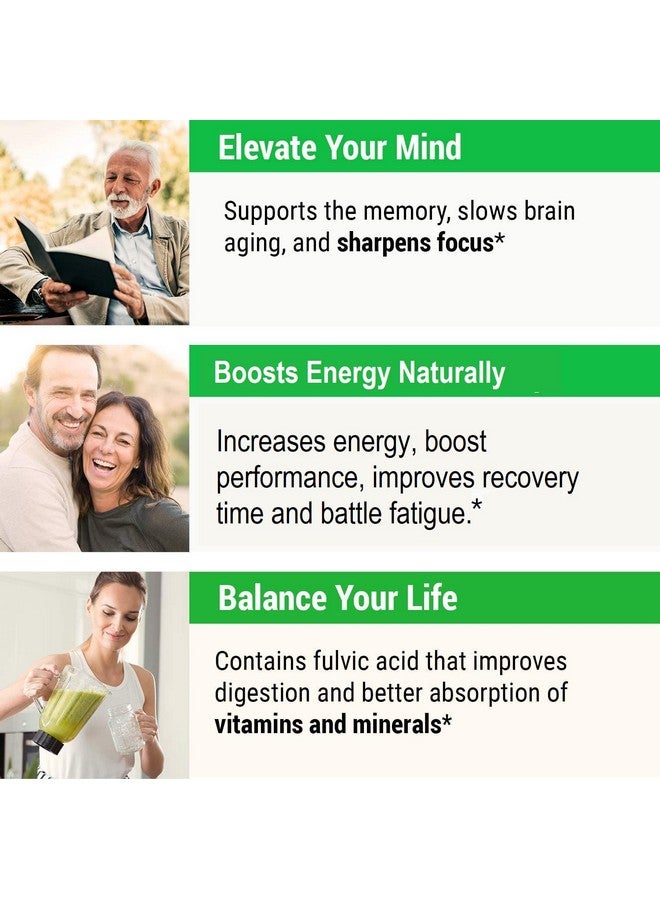 sayan Siberian Chaga Mushroom Extract With Shilajit Powder 2Oz/56G A Powerful Antioxidant Fulvic Acid Supplement & Immune System Health Booster - Image 4