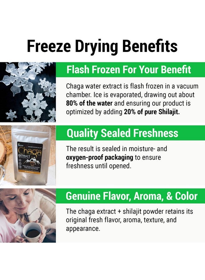 sayan Siberian Chaga Mushroom Extract With Shilajit Powder 2Oz/56G A Powerful Antioxidant Fulvic Acid Supplement & Immune System Health Booster - Image 3