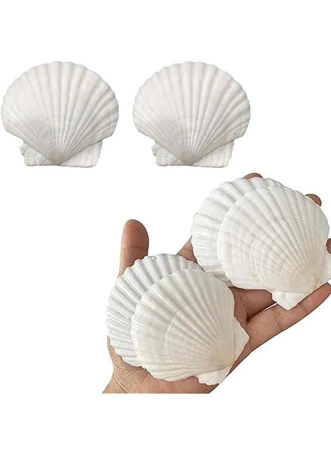 The Bros Sea Shells for Crafts Decoration Crafting 9-12cm White Scallop Shells, for Crafts DIY Painting Beaching Wedding Decoration, Beach Natural Scallop Shells Bulk,6pcs  - Image 1