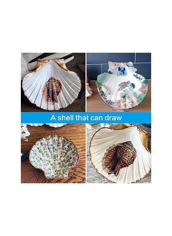 The Bros Sea Shells for Crafts Decoration Crafting 9-12cm White Scallop Shells, for Crafts DIY Painting Beaching Wedding Decoration, Beach Natural Scallop Shells Bulk,6pcs  - Image 3