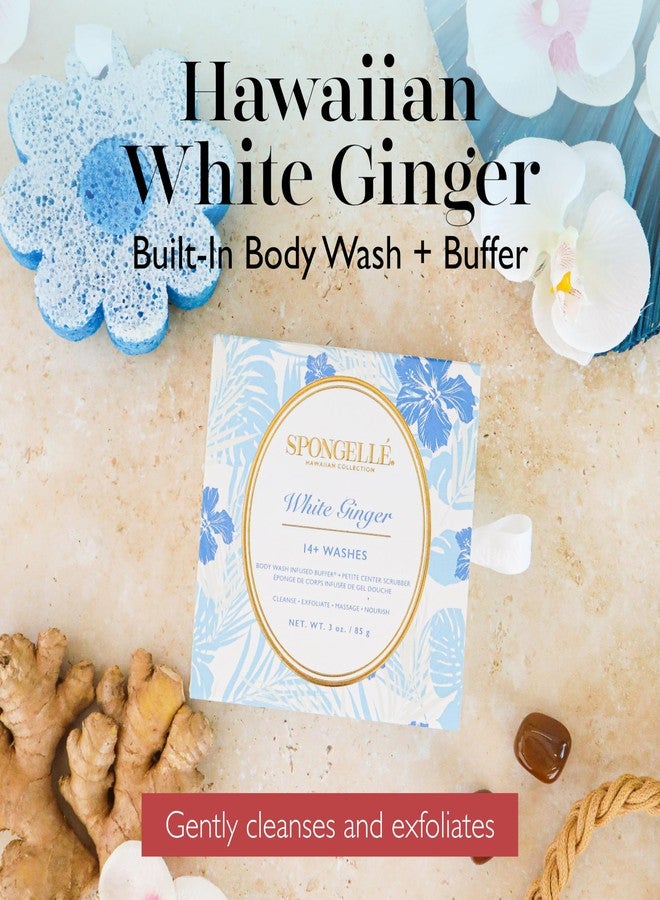 Spongellé White Ginger Hawaiian Buffer | Body Wash Infused Sponge with Awapuhi & Kukui Nut Oil | Exfoliates & Hydrates | 14+ Uses - Image 2