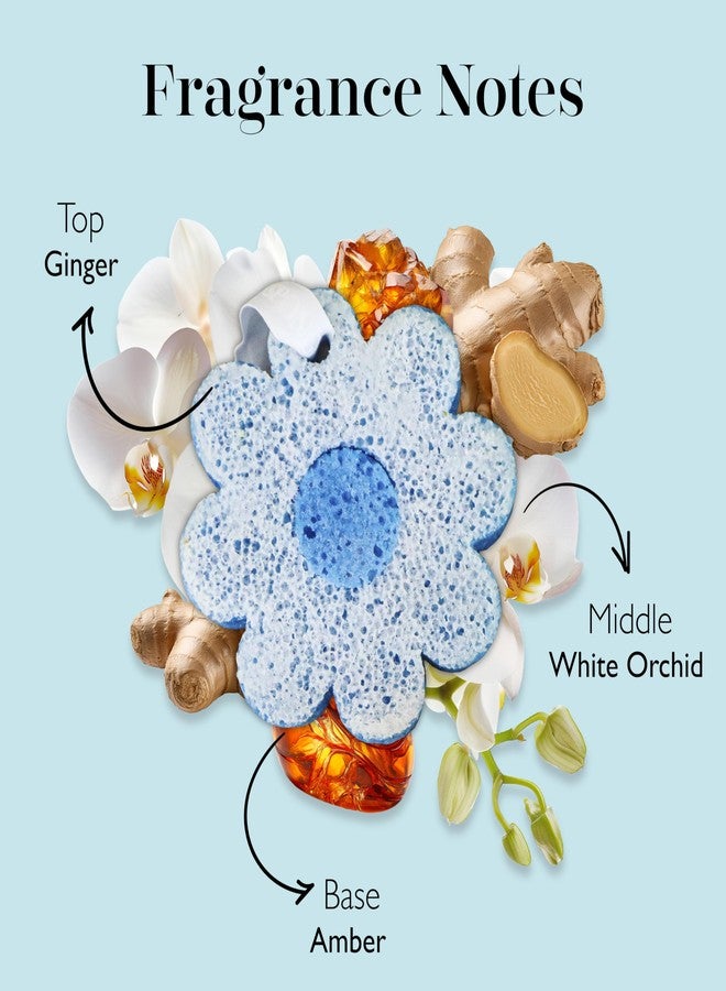 Spongellé White Ginger Hawaiian Buffer | Body Wash Infused Sponge with Awapuhi & Kukui Nut Oil | Exfoliates & Hydrates | 14+ Uses - Image 3