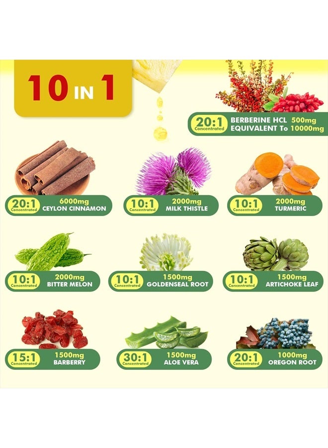 B BEWORTHS Premium Berberine Supplement - Berberine Liquid Drops with Turmeric, Bitter Melon, Milk Thistle, Ceylon Cinnamon, Berberine Veggie Supplement for Immune, Digestion System and Heart Health Support - Image 3