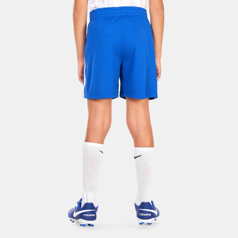 Nike Kids' Multi Dri-FIT Graphic Training Shorts