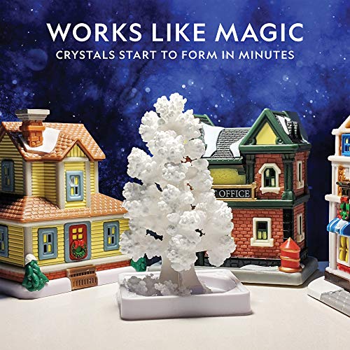 Blue Marble National Geographic Craft Kits for Kids - Crystal Growing Kit - Grow a Crystal Garden in Just 6 Hours, Educational Craft Includes Art Project, Geode, STEM Arts and Crafts for Girls (Amazon Exclusive) - Image 2