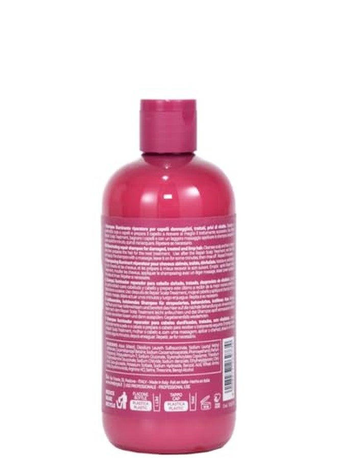 Inebrya Shecare Repair Shampoo, Illuminating Shampoo (10.14 oz.) - Image 2