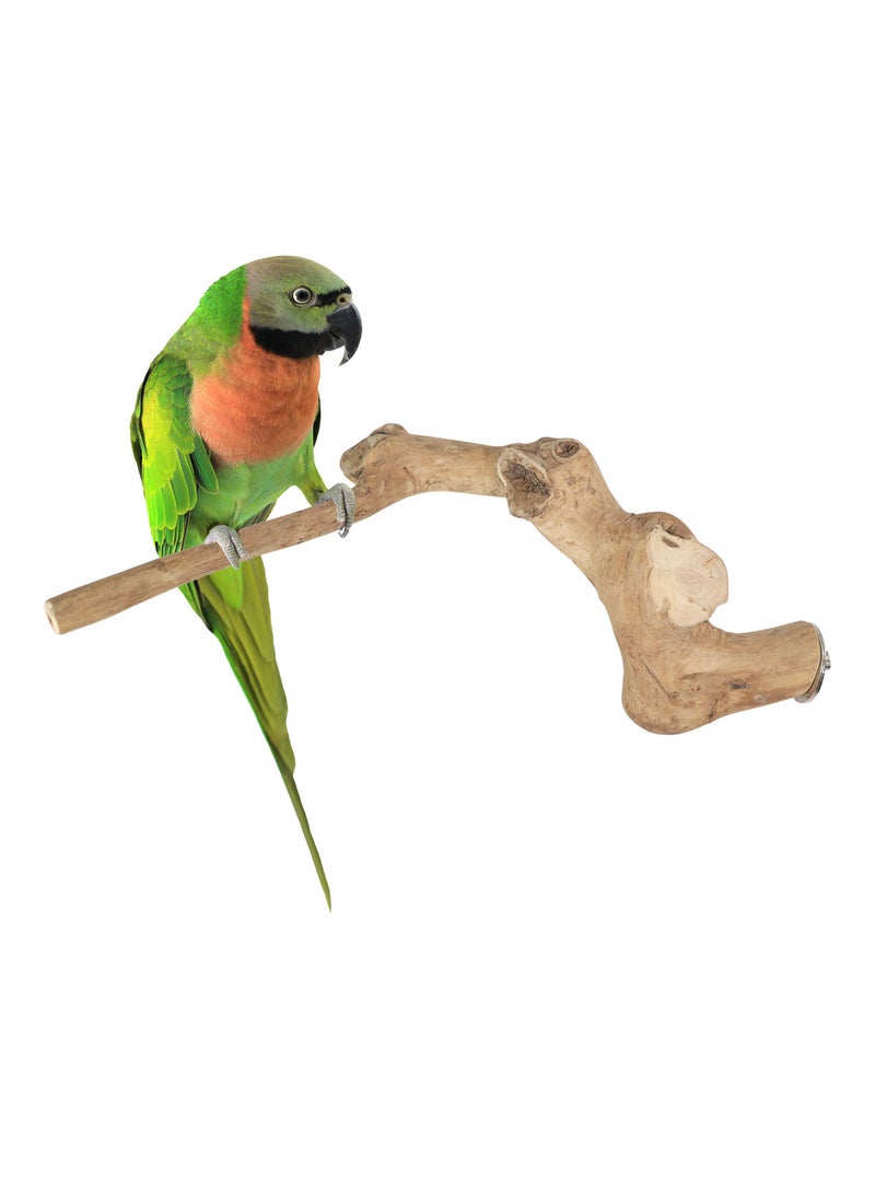 CHEWY BEAK Natural parrot perch for medium parrots, made of solid java wood suitable for all bird cages - Image 1