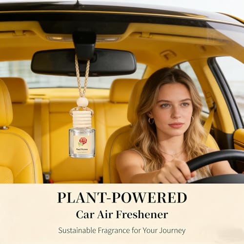 Vietora EudLuxury Car Air Freshener 4-Pack, Hanging Essential Oil Car Diffuser for Rearview Mirror, Long Lasting Aesthetic Auto Decor Accessories (Lavender, Rose, Oud Wood, Amber) - Image 2