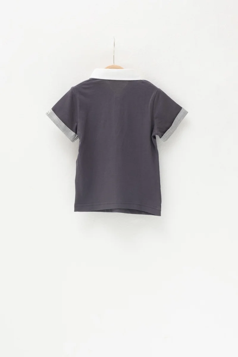 Mininio Baby Boy Smoke Double Sleeve Placket Polo Neck T-Shirt (3 Months - 4 Years)