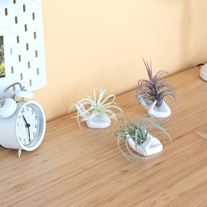 Dahey Air Plant Holder Cute Ceramic Mini Hand Shape Stand Airplants Tillandsia Small Container Pot Plant Decorative Home Decor for Desk Table Shelf,White,3 Packs - Image 2