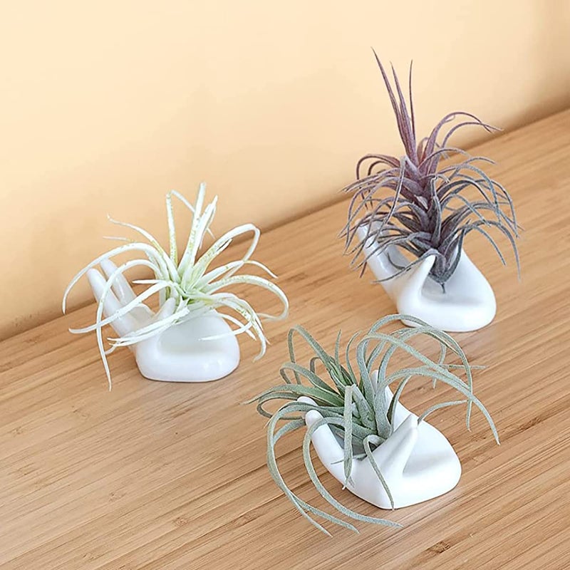 Dahey Air Plant Holder Cute Ceramic Mini Hand Shape Stand Airplants Tillandsia Small Container Pot Plant Decorative Home Decor for Desk Table Shelf,White,3 Packs - Image 1