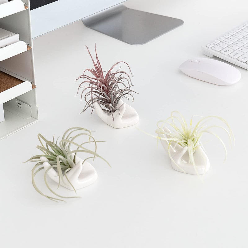 Dahey Air Plant Holder Cute Ceramic Mini Hand Shape Stand Airplants Tillandsia Small Container Pot Plant Decorative Home Decor for Desk Table Shelf,White,3 Packs - Image 3