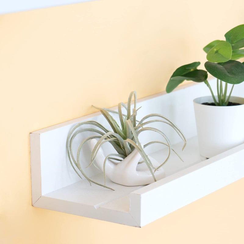 Dahey Air Plant Holder Cute Ceramic Mini Hand Shape Stand Airplants Tillandsia Small Container Pot Plant Decorative Home Decor for Desk Table Shelf,White,3 Packs - Image 4