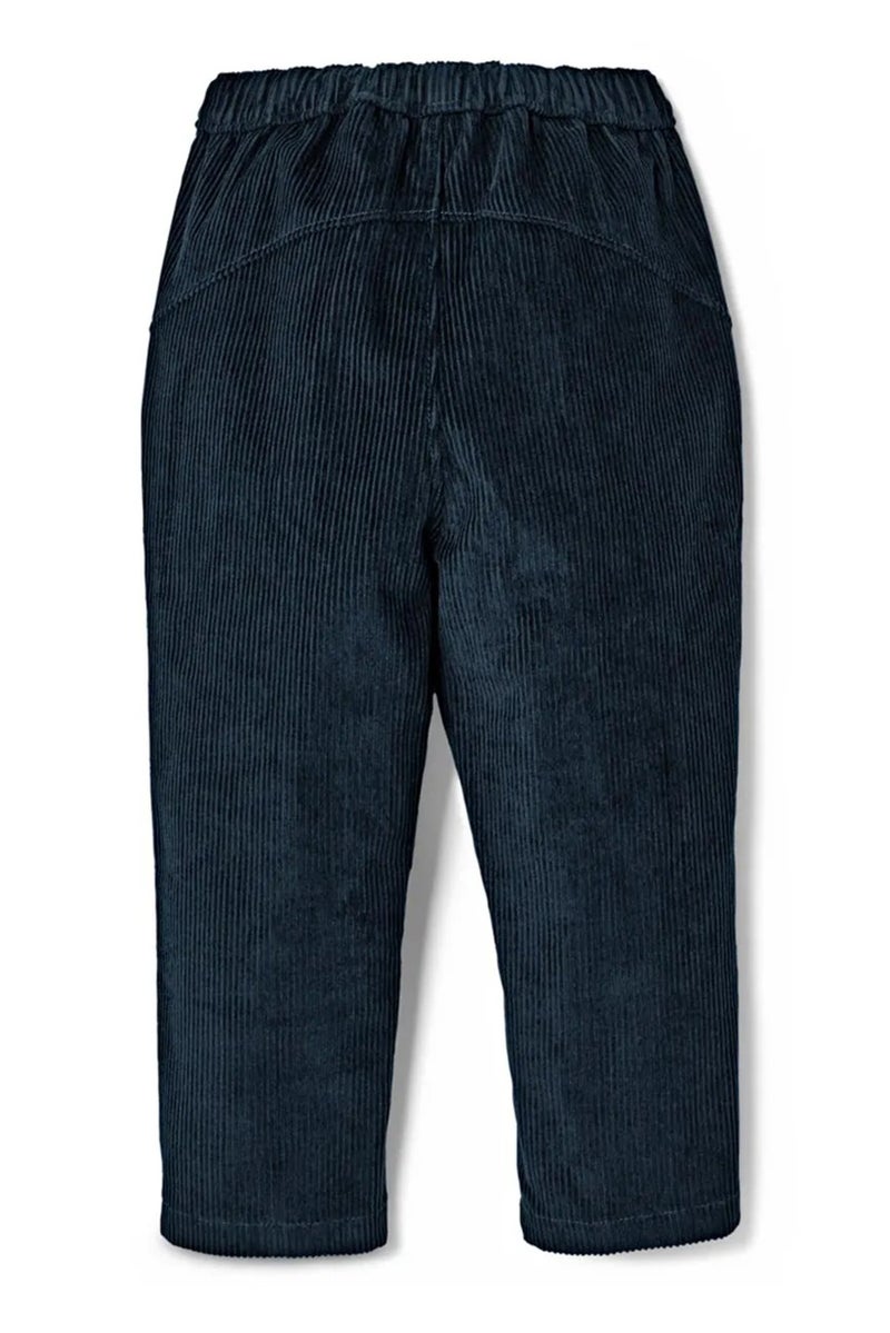 Tchibo Toddlers Boy Solid Corduroy Pants, Navy  - Image 3