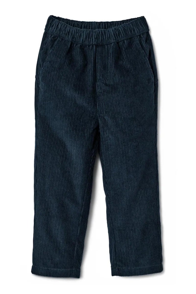 Tchibo Toddlers Boy Solid Corduroy Pants, Navy  - Image 2