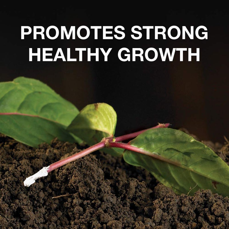 Doff Hormone Rooting Powder Plant and Cuttings 75g Dibber Pack Rootings Power - Image 2