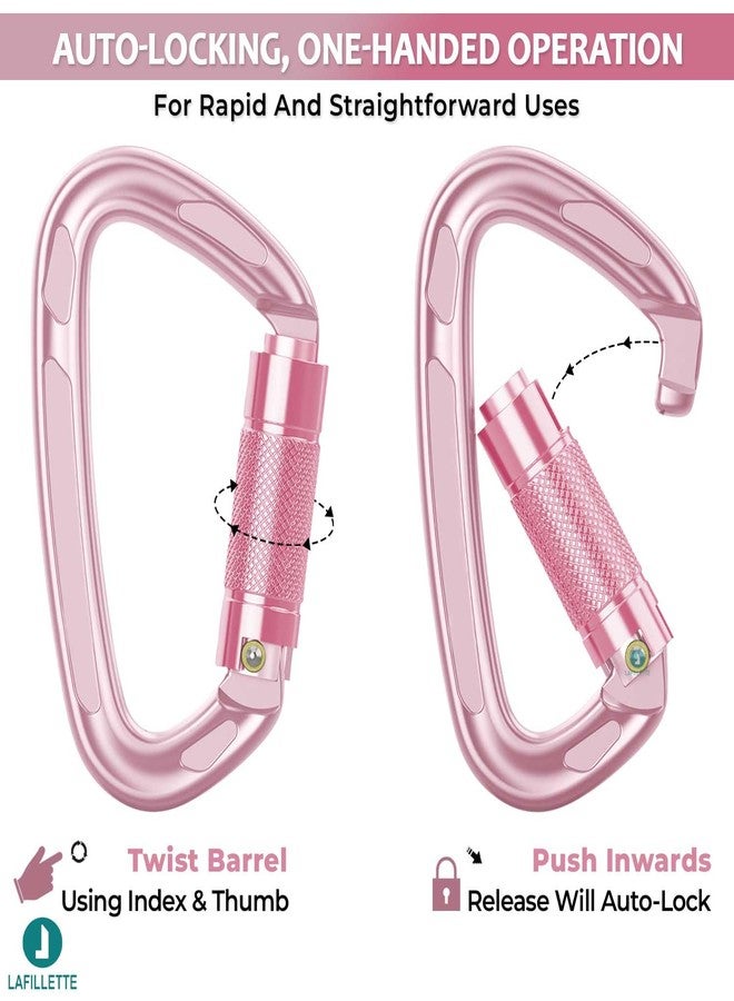 LAFILLETTE Carabiner Clip, Keychain Clip Spring Snap Hooks, Carabiners for Camping, Hiking, Outdoor, Dog Leash, Key Chains (Design-2) - Image 4