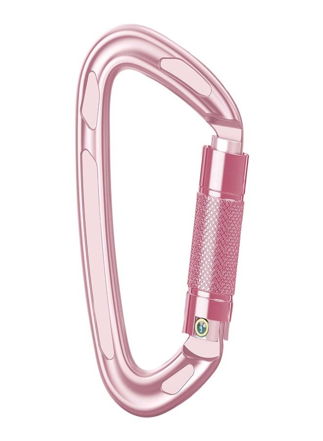 LAFILLETTE Carabiner Clip, Keychain Clip Spring Snap Hooks, Carabiners for Camping, Hiking, Outdoor, Dog Leash, Key Chains (Design-2) - Image 1