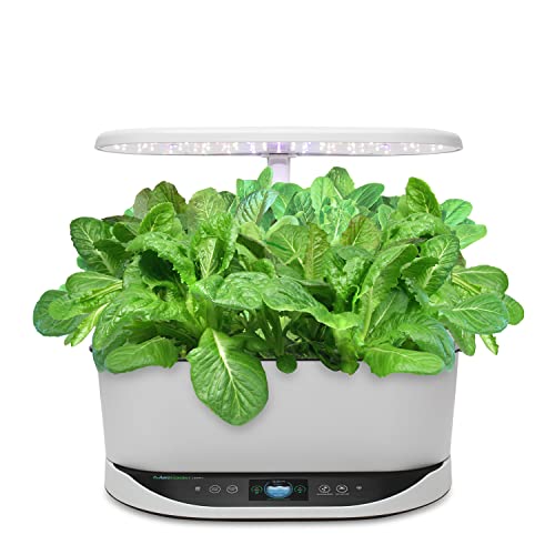 AeroGarden مجموعة بذور خس روماني مختلط من أيرو جاردن، أخضر، أحمر (9 بود)  - Image 3