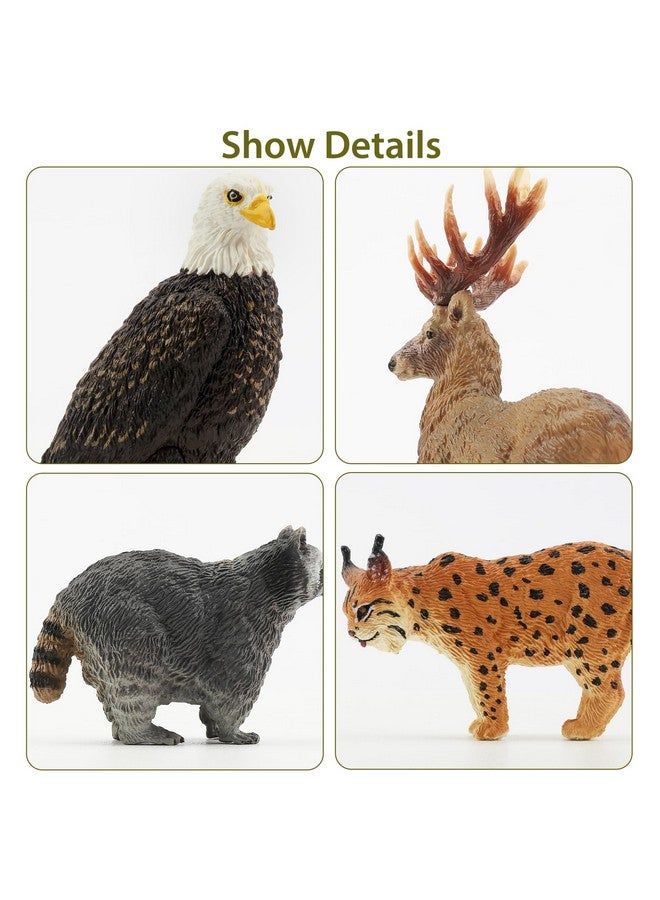 TOYMANY مجموعة تماثيل حيوانات الغابة الأمريكية الشمالية من تويماني 12 قطعة، تشمل حيوانات الراكون، الوشق، الذئب، الدب، النسر، لعبة تعليمية لتزيين الكعك، هدية عيد الميلاد أو عيد الميلاد للأطفال الصغار. - Image 5
