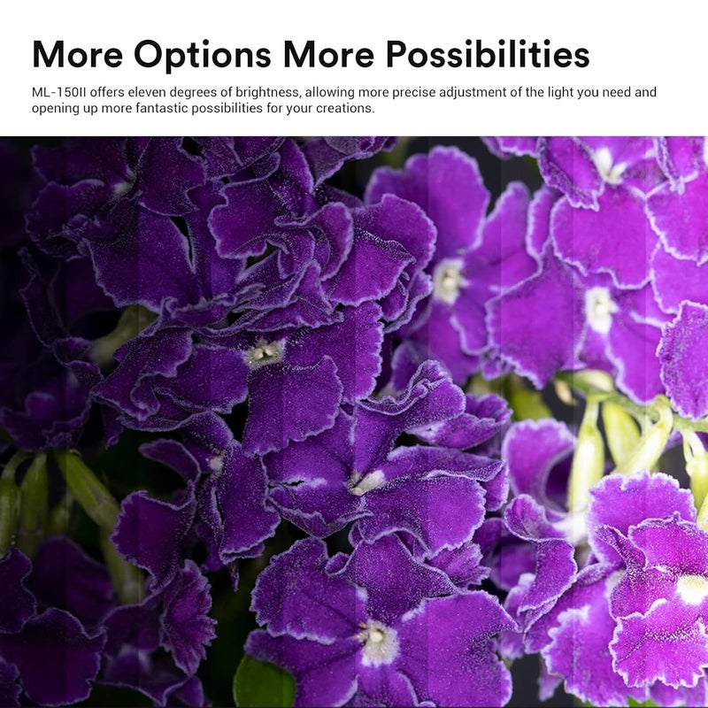 Godox ML150II Macro Ring Flash on Camera Ring Flash Light GN12 CCT 5800K±200K for Fuji, for Canon, for Nikon, for Sony, for Olympus Camera - Image 3