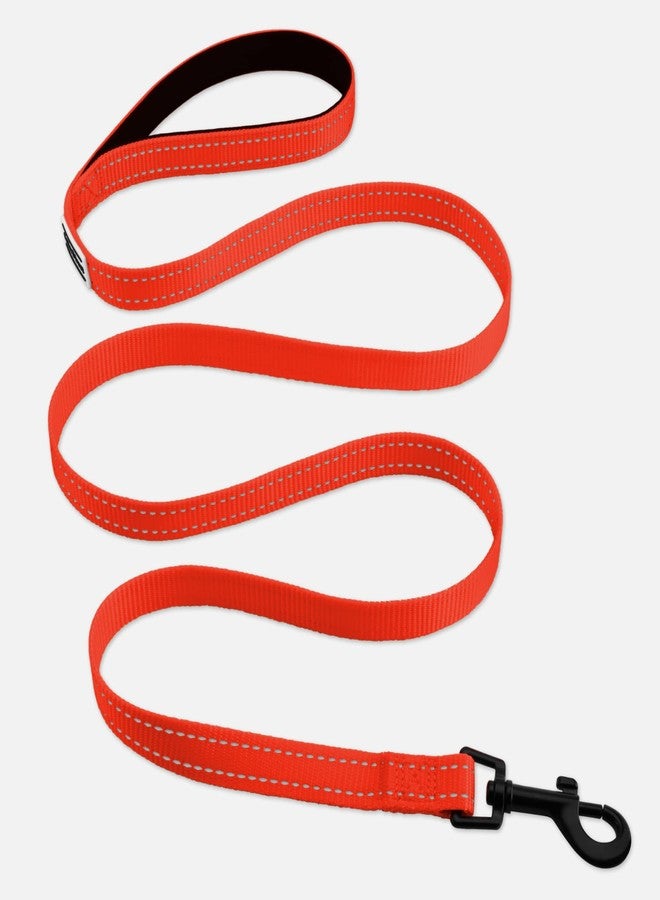 CollarDirect Nylon Dog Leash 5ft for Daily Outdoor Walking Running Training Heavy Duty Reflective Pet Leashes for Large, Medium & Small Dogs (Orange, Medium) - Image 5