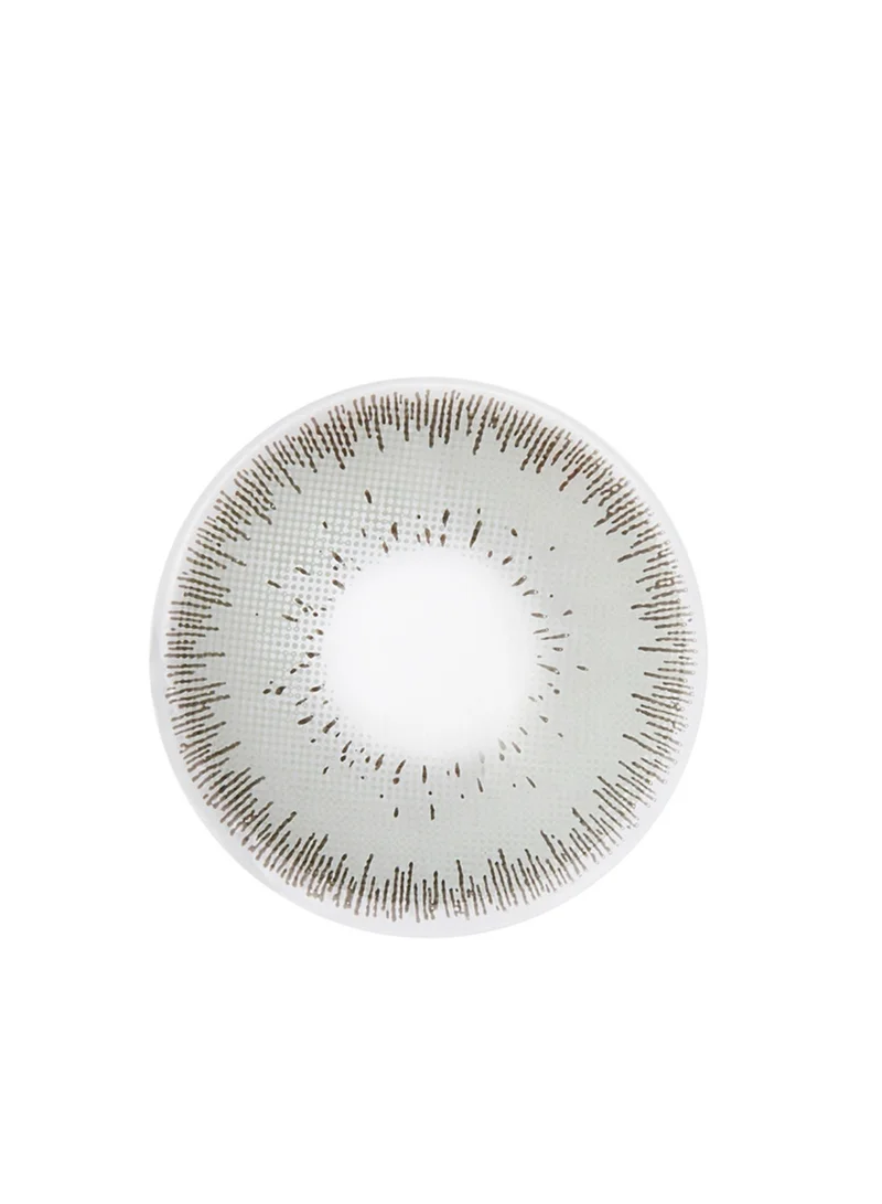 Layala Cloudy Gray - 3 Months Lenses