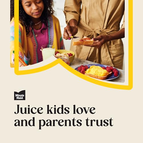 Minute Maid Lemonade 12 Oz Pack Of 12 - Image 5