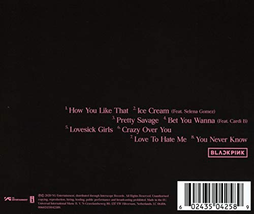 INTERSCOPE Album - Image 2