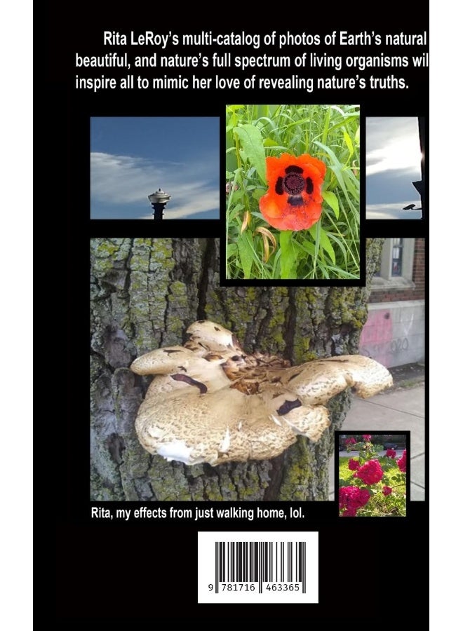 A NEW POEM ... Special Edition - Image 2