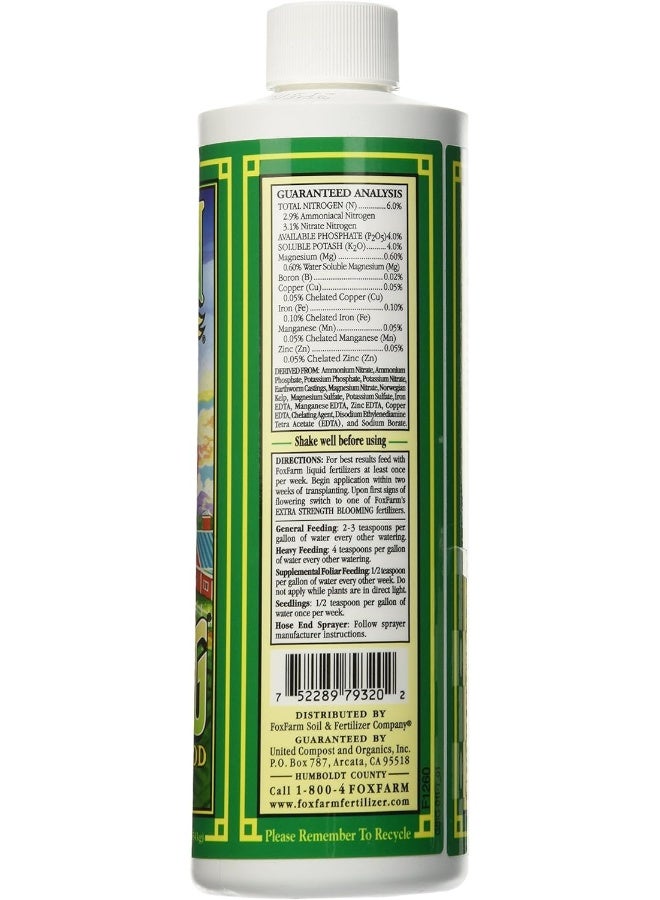 Fox Farm 6-4-4, 1-Pint Fx14092 Grow Big Liquid Concentrate Fertilizer, Soil Npk 6-4, White  - Image 1