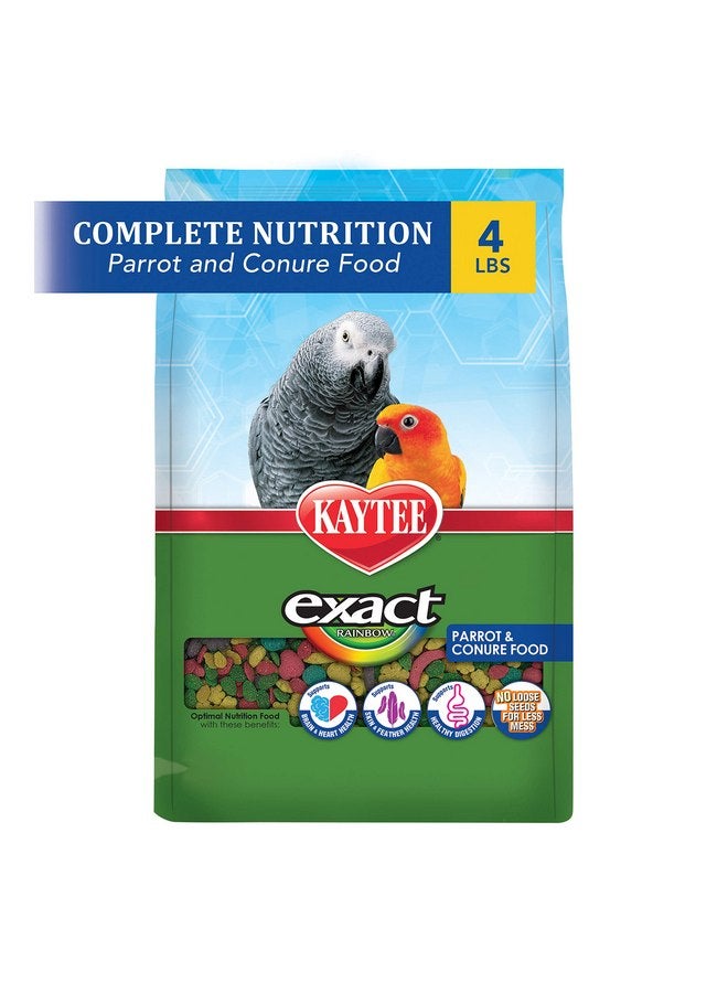 كايتي طعام كايتي إكزاكت رينبو للحيوانات الأليفة للببغاوات والكونيور، 4 أرطال - Image 2