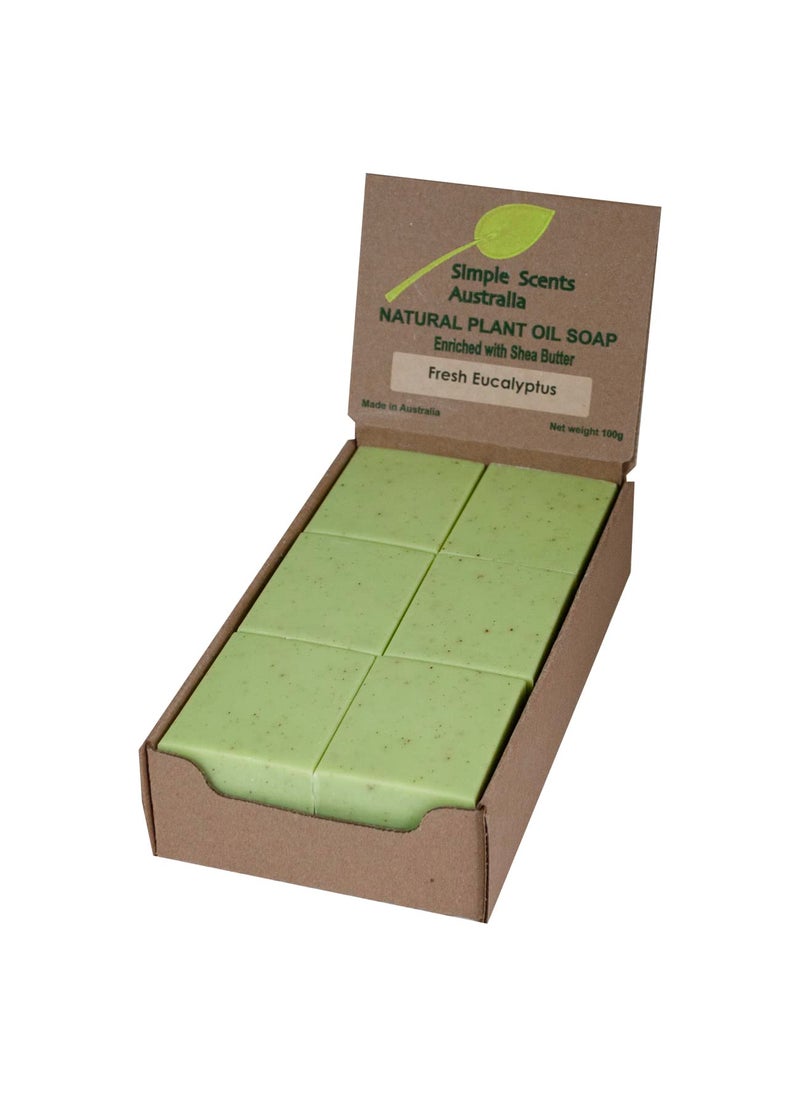 Simple Scents Australia Eucalyptus Scented Natural Soap Bars 12 Bars 35oz Moisturizing French Triple Milled Soap Bars Enriched with Shea Butter  Pure Plant Oil Bath  Body Soap Bars 