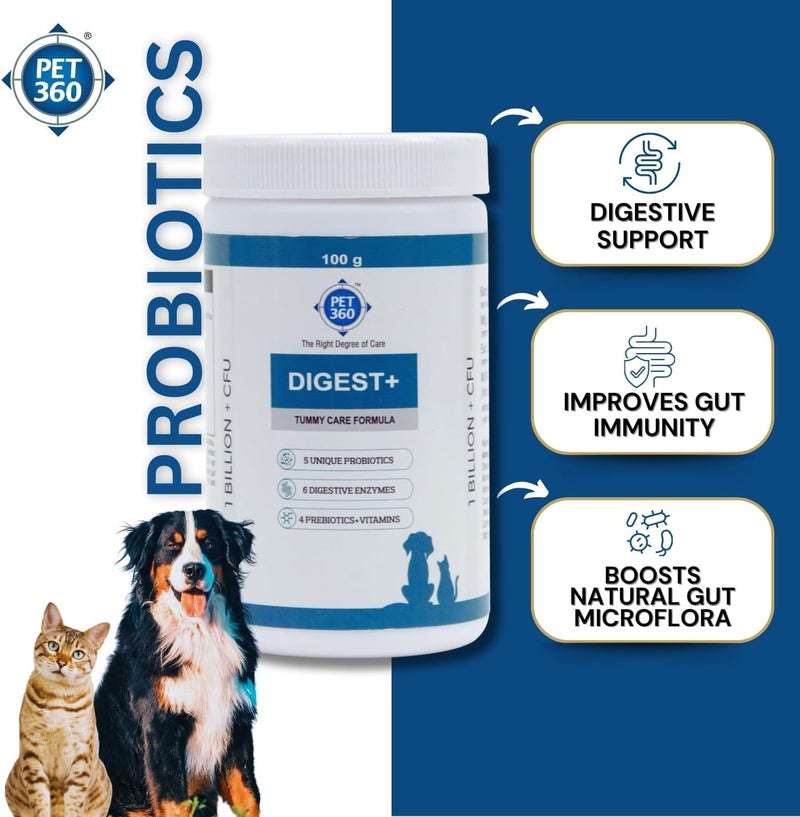 PET360 Digest+ Tummy Care Formula | Gut Health Supplement for Dogs & Cats | Probiotics, Prebiotics, Digestive Enzymes & Vitamins for Improved Digestion & Immunity | Suitable for All Breeds - 100 gm - Image 3