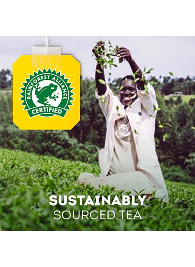 Lipton - Green Tea Pure Non-Bitter All The Goodness Without The Bitterness 25 Bags 1.5grams Pack of 2 - Image 1