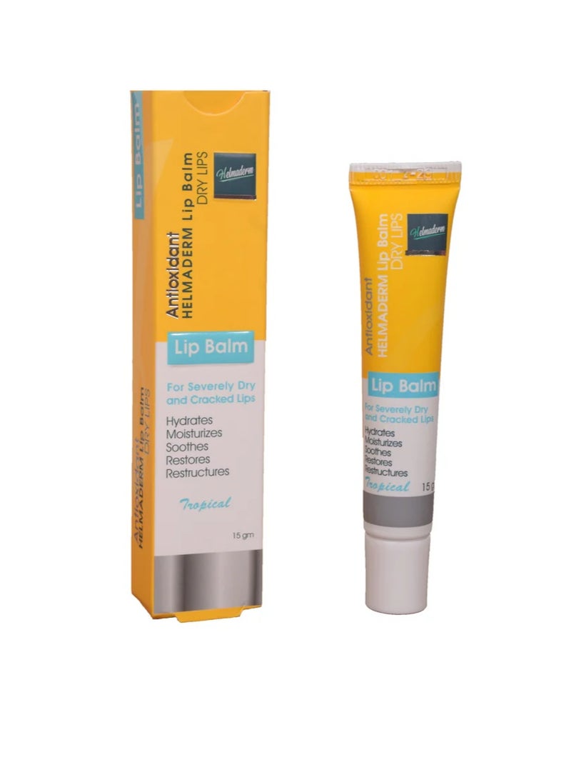 هيلماديرم لب بالم 15 جم