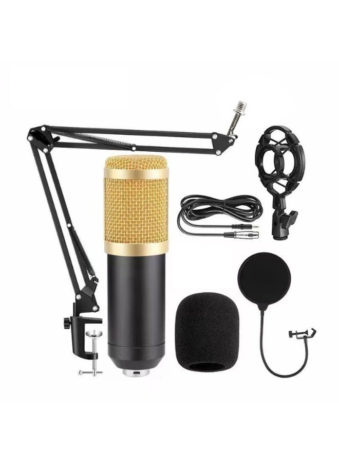 EBMINI New Professional Home KTV Singing Recording Home Karaoke Microphone