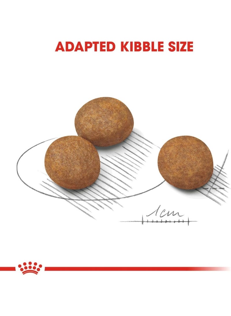 رويال كانين ماكسي للجراء كبيرة الحجم طعام جاف 15 كيلو - Image 5