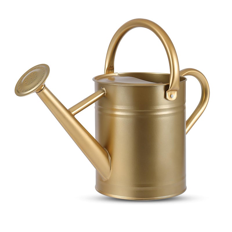 Stdemarzo 1 Gallon Watering Can for Plants, Watering Cans for Indoor&Outdoor Gardening, Galvanized Steel Watering Pot with Removable Spout, Metal Water Can with Ergonomic Movable Handle(Gold) - Image 1