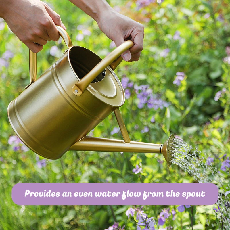 Stdemarzo 1 Gallon Watering Can for Plants, Watering Cans for Indoor&Outdoor Gardening, Galvanized Steel Watering Pot with Removable Spout, Metal Water Can with Ergonomic Movable Handle(Gold) - Image 5