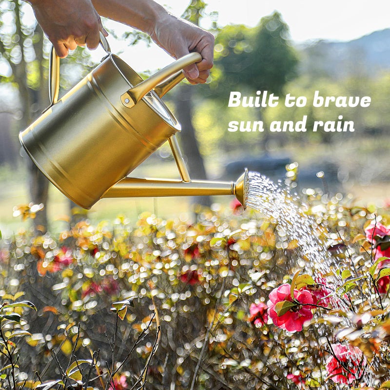 Stdemarzo 1 Gallon Watering Can for Plants, Watering Cans for Indoor&Outdoor Gardening, Galvanized Steel Watering Pot with Removable Spout, Metal Water Can with Ergonomic Movable Handle(Gold) - Image 2