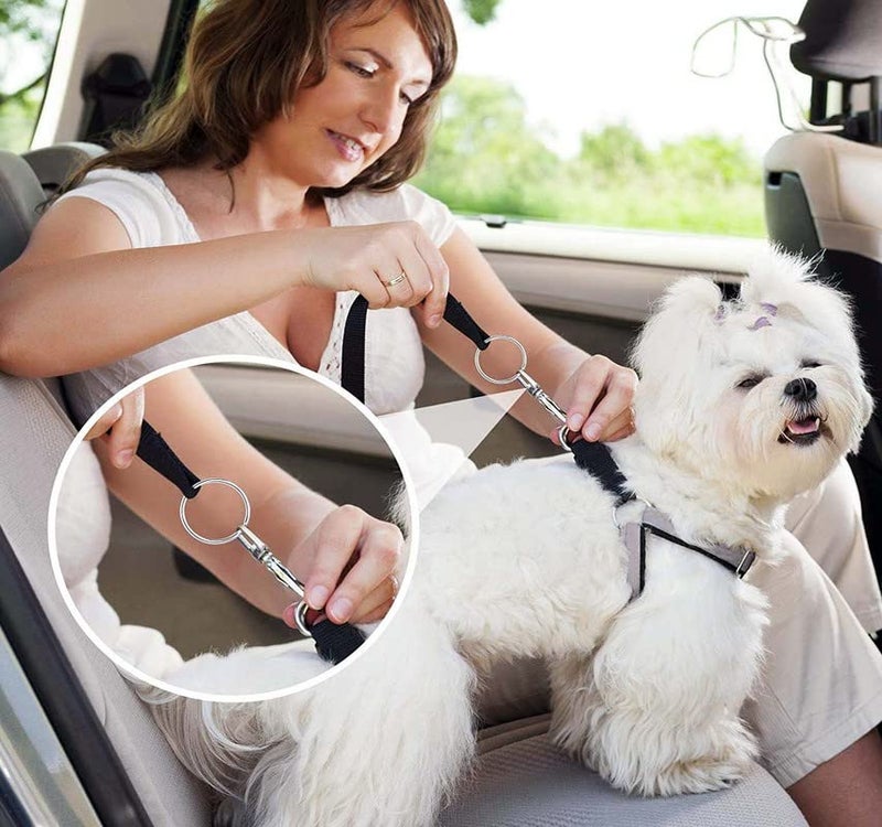 DIY Crafts 5X Swivel Snap D Hooks, Nickel Silver, Keyrings & Keychains Round Swivel Snap Hooks Key Rings Metal For Lanyard, ID, Bags, Wallets, Lug(5X Swivel Snap D Hooks, Nickel Silver) - Image 4