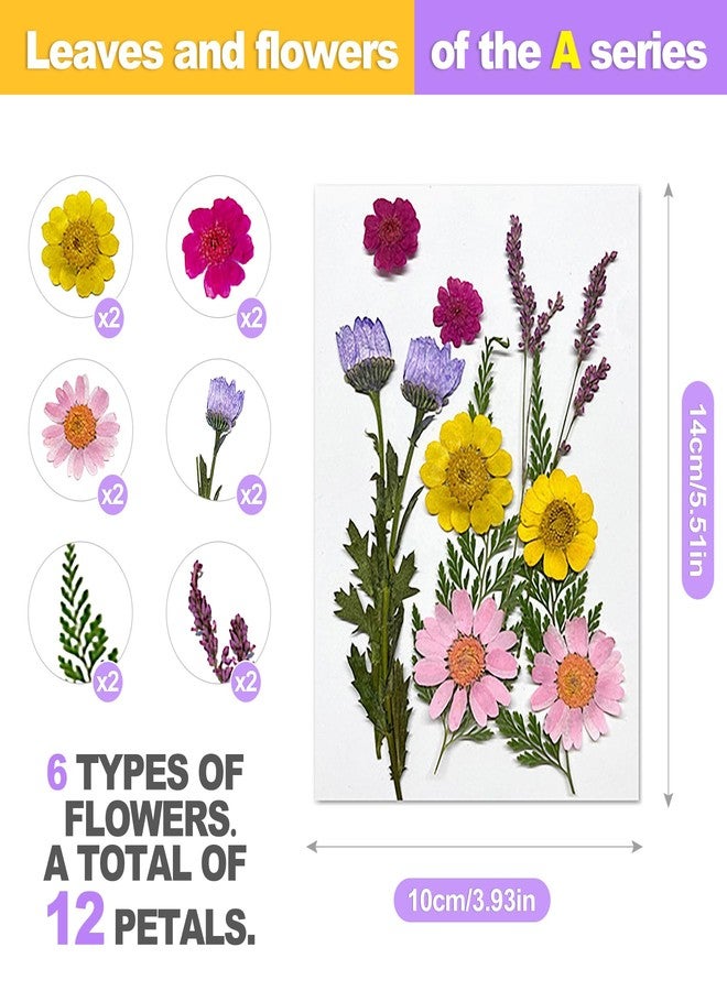 ZeriLion Set of Wildflower Cake Toppers, Botanical Floral Cake Decorations for Women's Birthday, Anniversary, Rustic Bridal Shower - Image 2