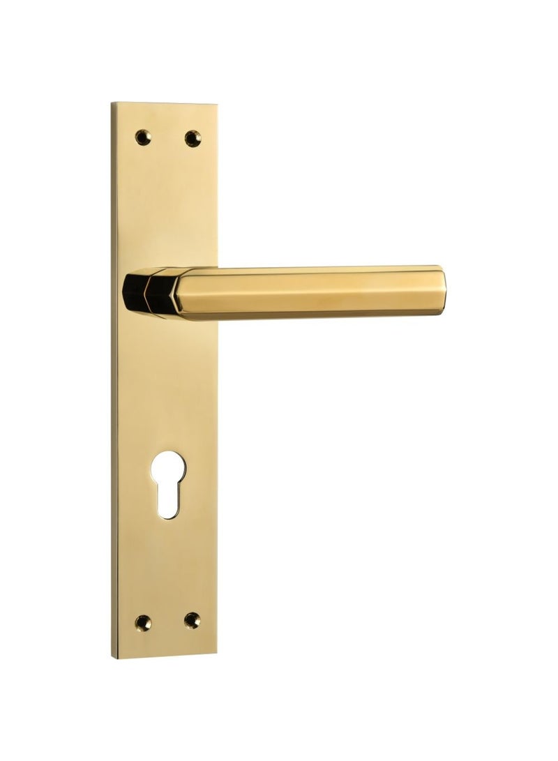 Milano Za Tapez Lm665-736 Plate Handle Pvd