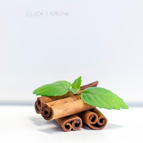 Click and Grow Cinnamon Basil 3-Pack Plant Pods for Smart Garden, Grow Fresh Greens at Home All Year Around - Image 2