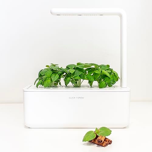 Click and Grow Cinnamon Basil 3-Pack Plant Pods for Smart Garden, Grow Fresh Greens at Home All Year Around - Image 3