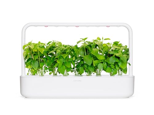Click and Grow Cinnamon Basil 3-Pack Plant Pods for Smart Garden, Grow Fresh Greens at Home All Year Around - Image 5